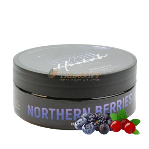 Табак для кальяна 420 Northern Berries (Северные ягоды) 100 гр
