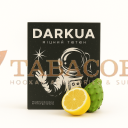 Табак для кальяна DARKUA Neon Flare (Лимон, Кактус) 100 гр. Фото.