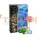 Табак для кальяна Jibiar Tsunami (Лёд, леденец, мята) 50 гр. Фото.