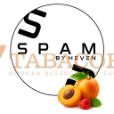 Тютюн для кальяну Spam (Спам) Абрикос 100 гр. Фото.