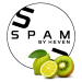 Тютюн для кальяну Spam (Спам) Бергамот, ківі 200 гр