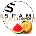 Табак для кальяна Spam (Спам) Арбуз, Дыня 100 гр. Фото.