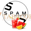 Табак для кальяна Spam (Спам) Арбузный лимонад 200 гр. Фото.
