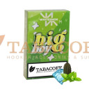 Табак для кальяна WhiteSmok BIG BOY (Кактус, мята, лёд) 50 гр. Фото.