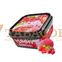 Тютюн Yummy (Яммі) Ягідний Сорбет (Полуниця, Малина, Морозиво) 250г. Фото.